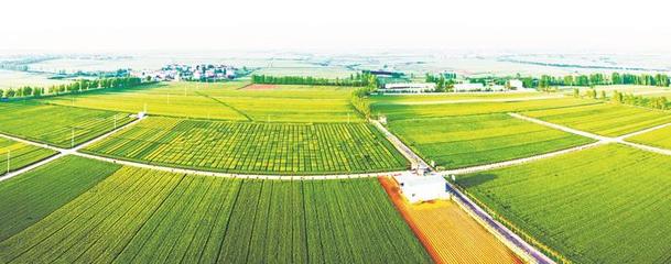 鳳鳴襄州 邁向農業(yè)新高地
