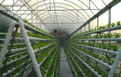 臺州市三門縣洋市涂6000畝現(xiàn)代農業(yè)基地開發(fā)項目