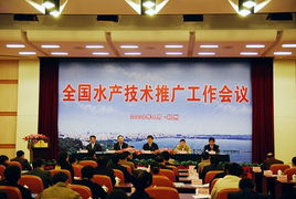 貴州農(nóng)業(yè)科技信息網(wǎng) 科技賦能農(nóng)業(yè)，技術(shù)推廣助力鄉(xiāng)村振興